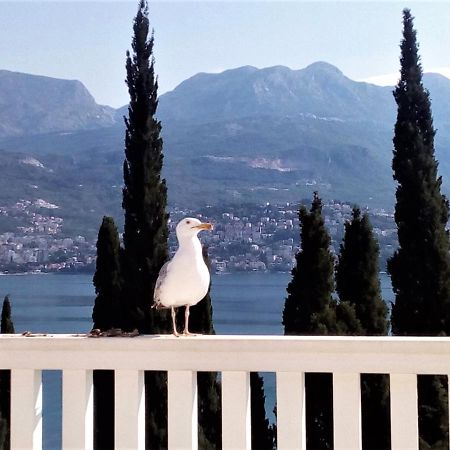 Villa Boka Sunrise Apartments Herceg Novi Esterno foto